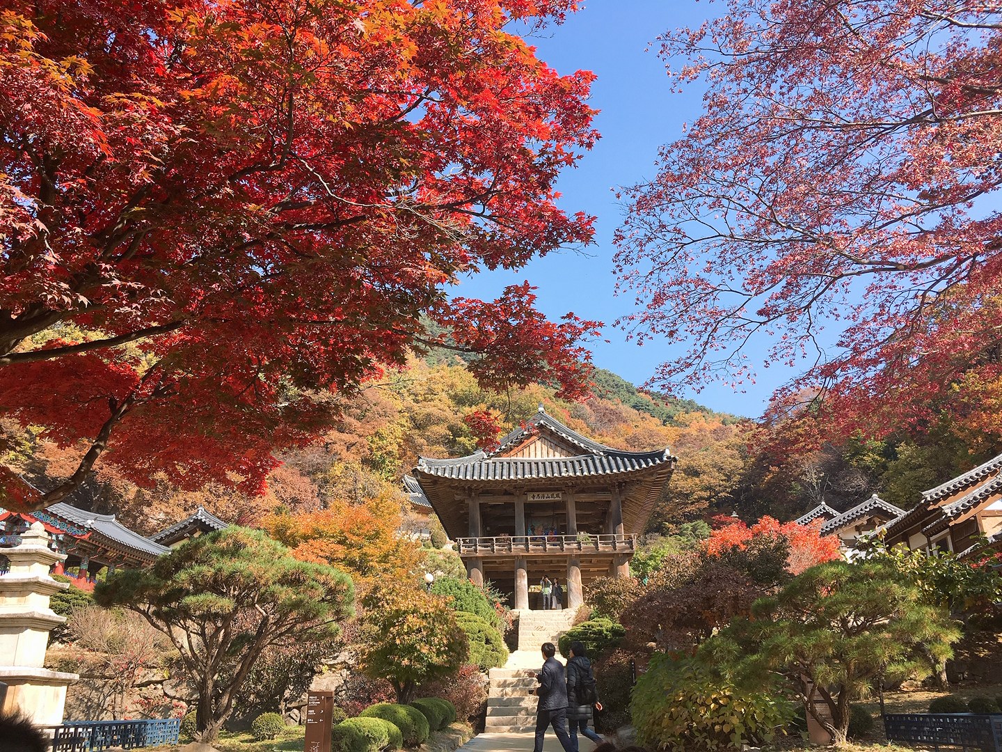 City Guide Review: Buseoksa Temple | Fulbright Korea Infusion